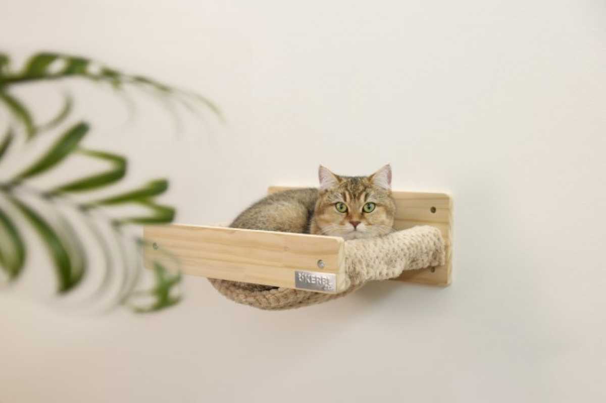 Kletterwand Timber S - Wandhängematte, Katzenleiter und Kratzsäule zur Wandmontage bis 4,5 kg belastbar, Echtholz